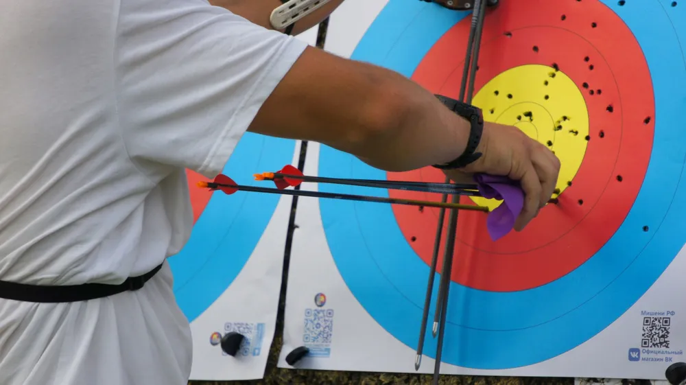 Мишень FITA 80см для стрельбы на 30 и 50 метров (зоны X-10-5)