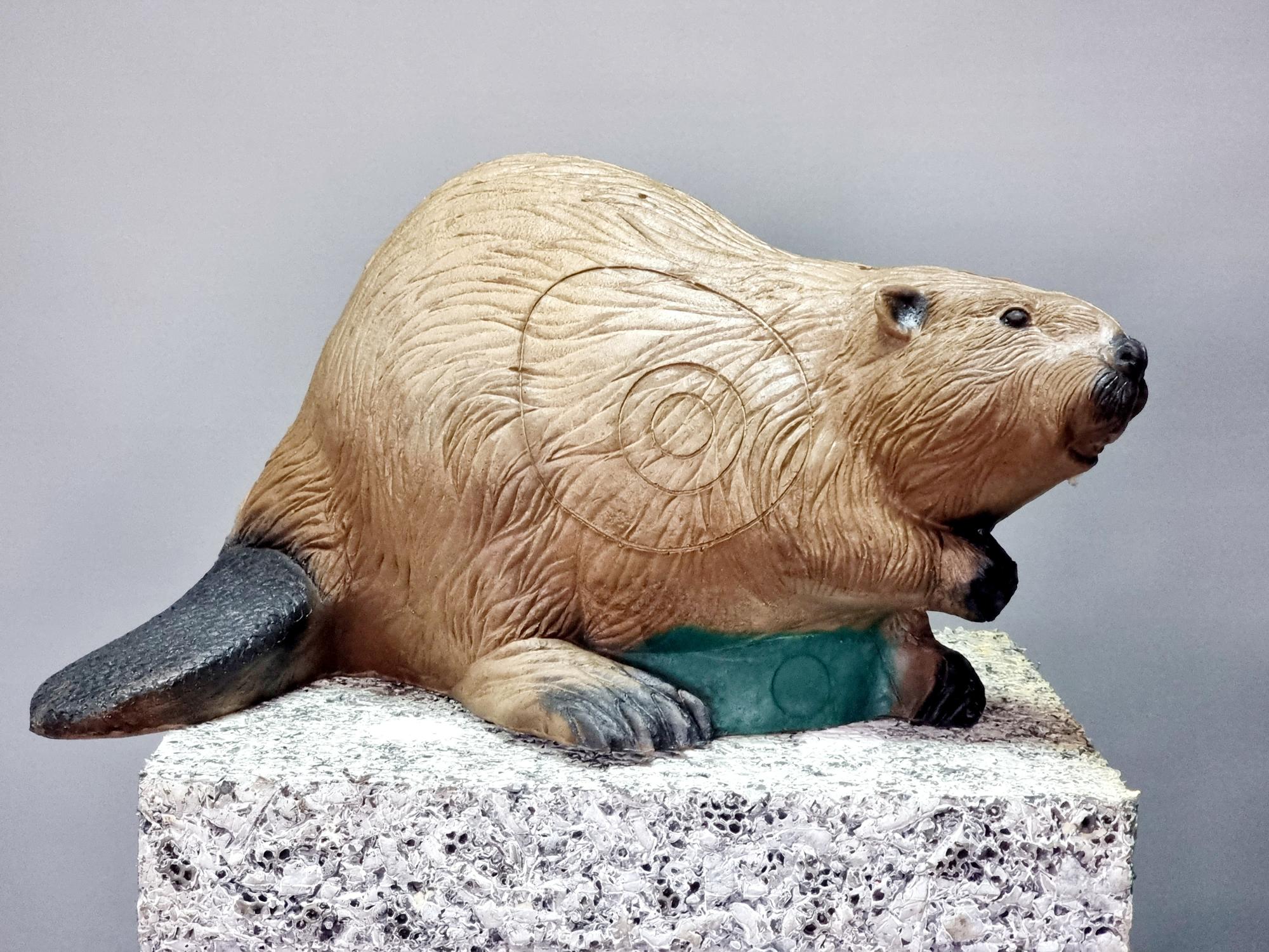 фото 3D Мишень Бобёр 3D Мишень Бобёр